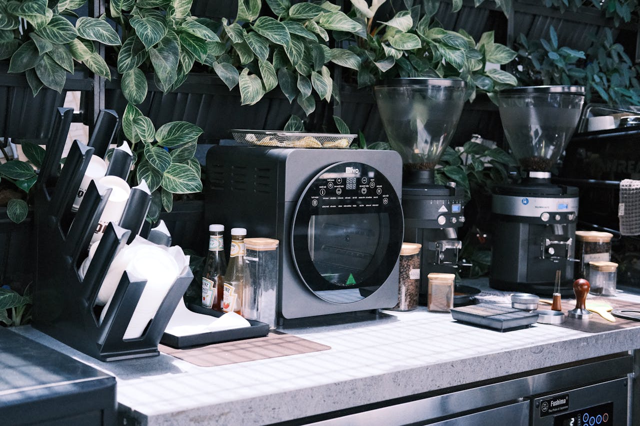 Stylish café kitchen with modern coffee machines and lush green plants.